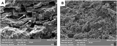 Biochar-Terracotta Conductive Composites: New Design for Bioelectrochemical Systems